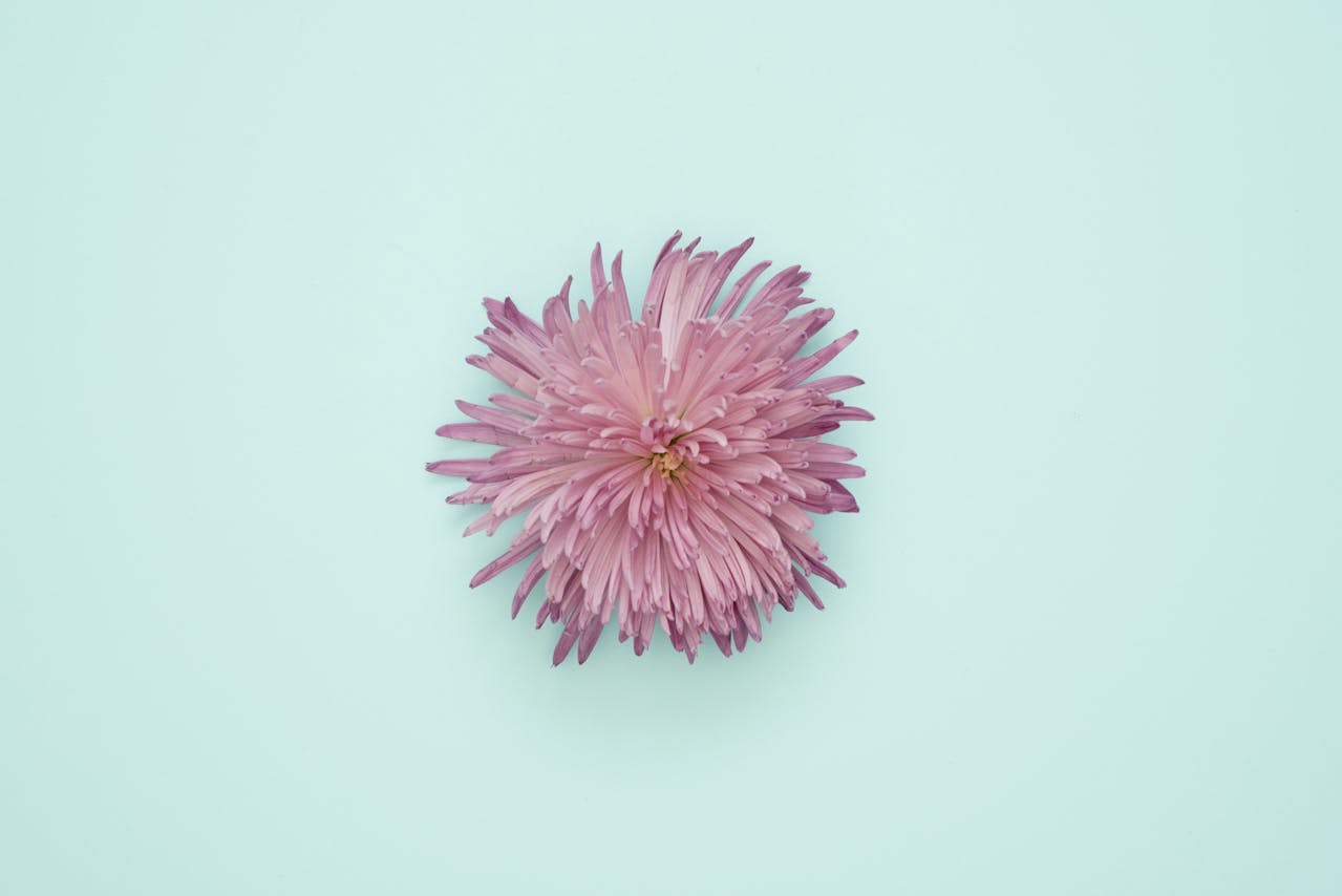 No image available